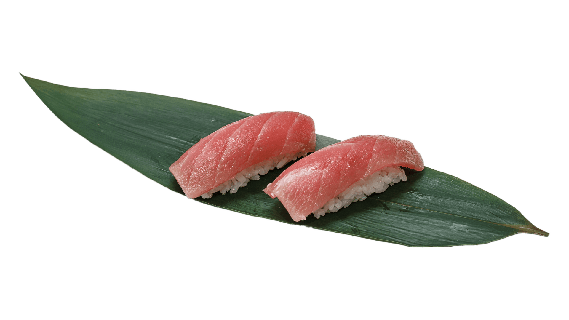 Нігірі Туна x2