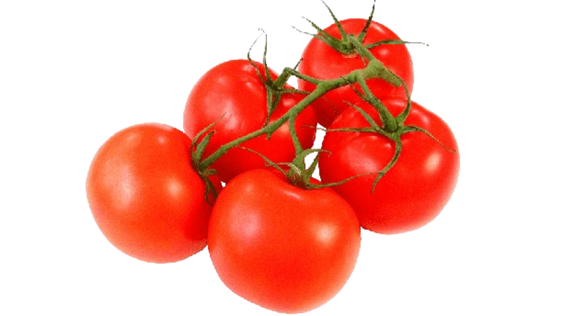 Pomidor koktajlowy