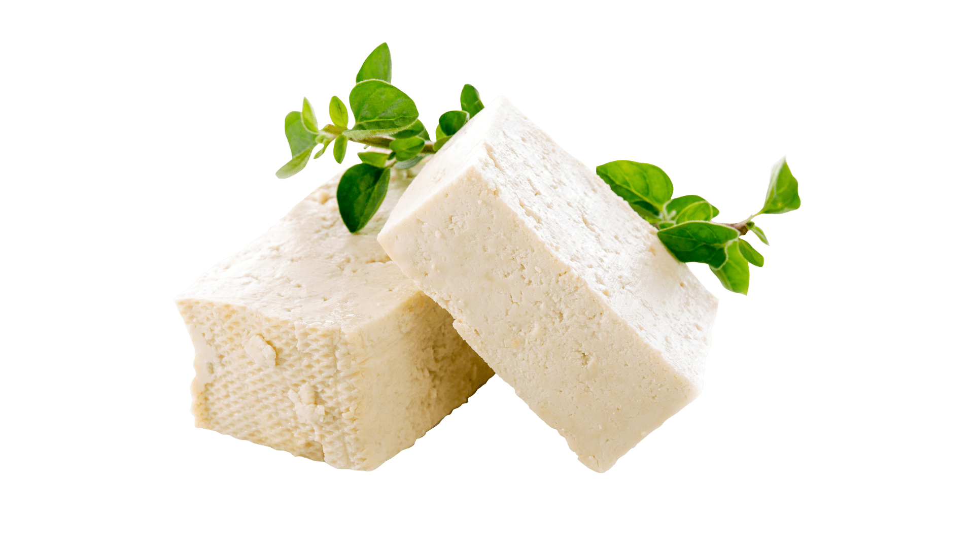 Tofu Cheese