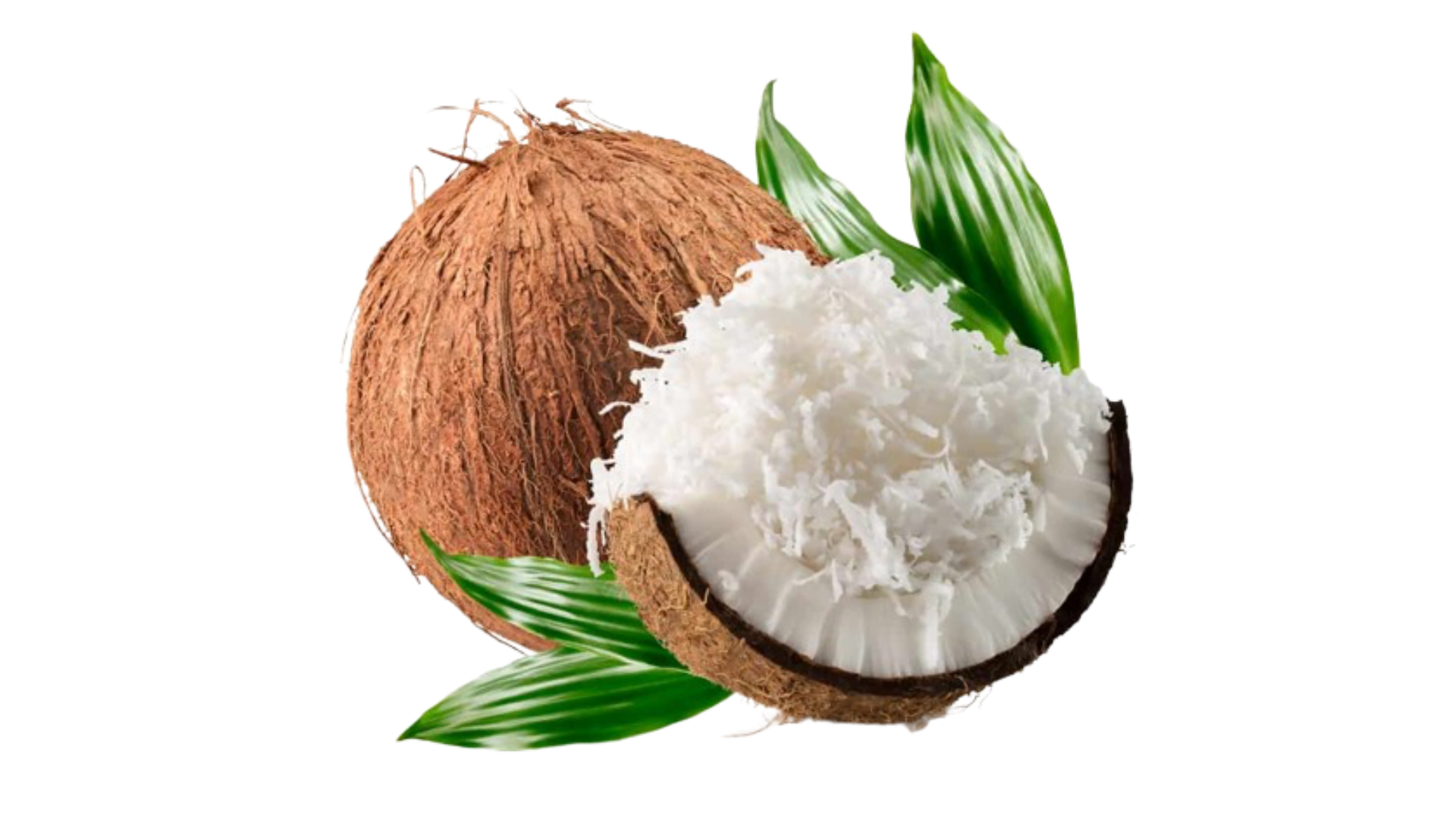 Coconut shavings